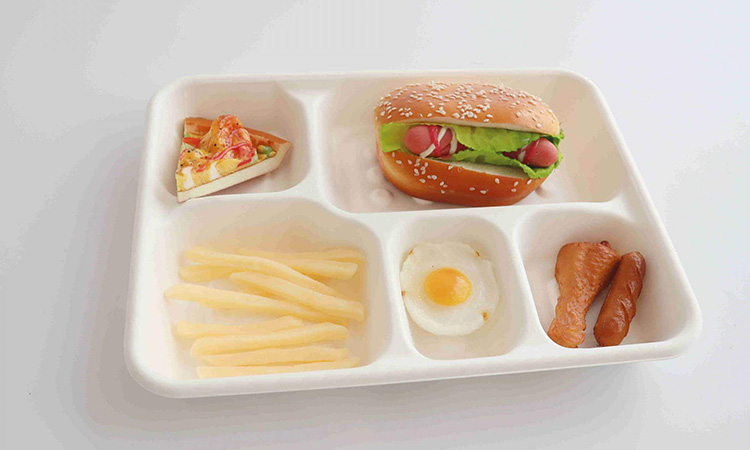 Bagasse Sugar Cane Fibre Food Tray