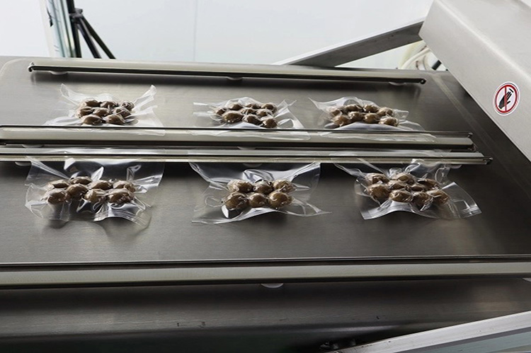Double Chamber Vacuum Packaging Machine-5
