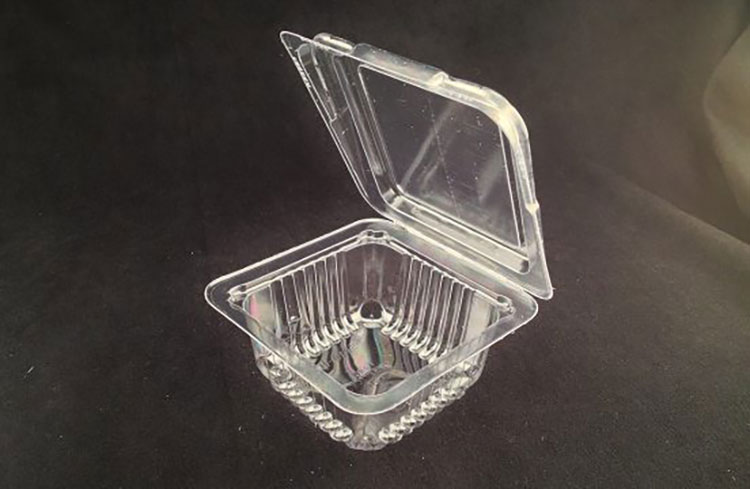 Hinged-Portion-Tray