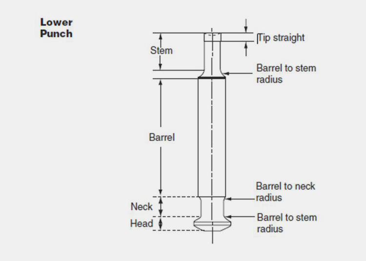 Lower Punch-1