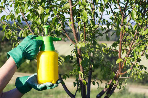 Pesticide Industry