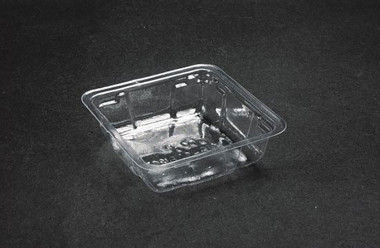 Portion-Tray