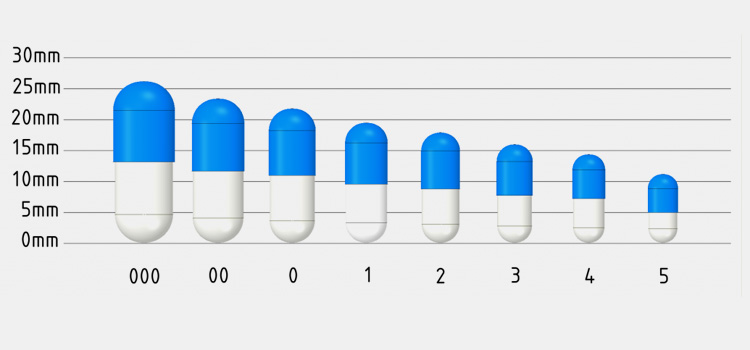 Fill Different Sizes