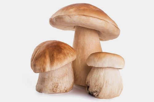 Raw Mushrooms