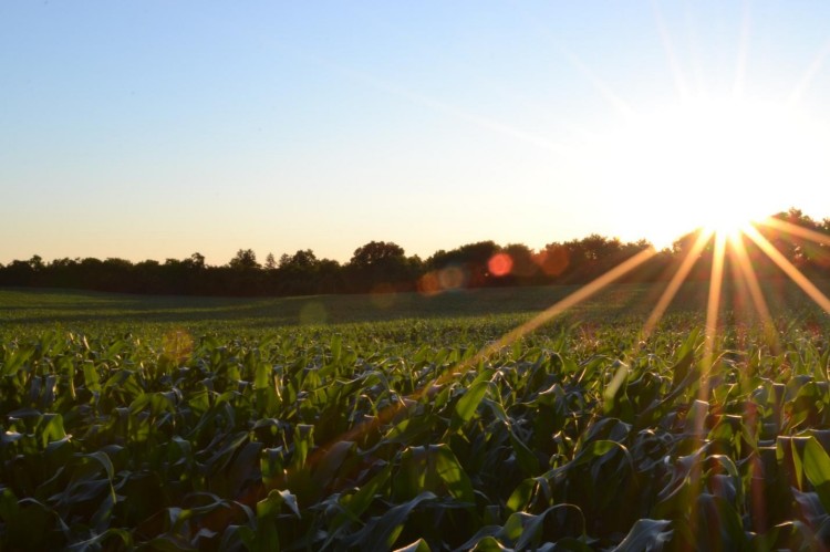 Agriculture industry