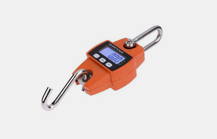 Automatic Crane Scale Weighing Machine