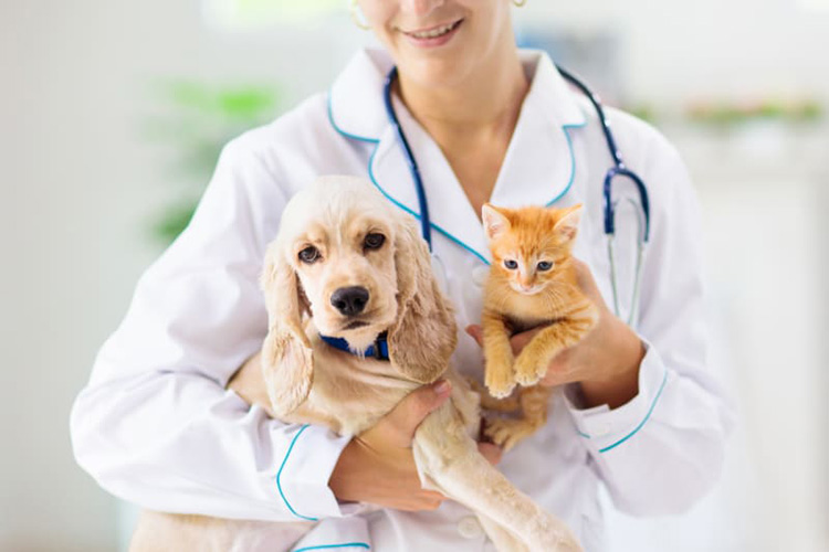 Veterinary Industry