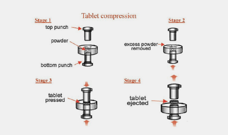 Types of Tablet Press Machines. Cemeach Limited is expertise in…, by  JayeshKhambhayata