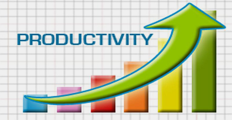 Increased Productivity