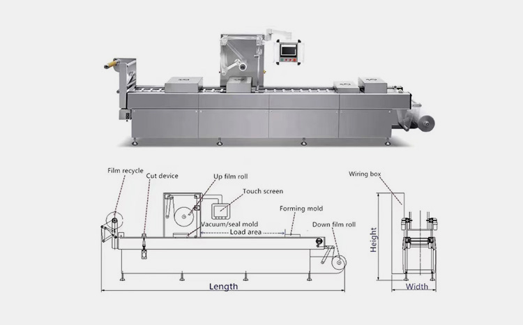 Vacuum Thermoforming Equipment