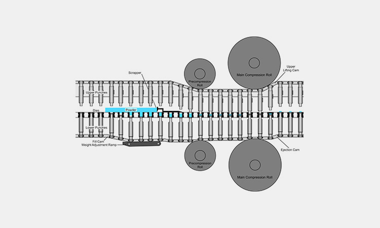 Working-Principle-Of-Rotary-Tablet-Compression-Machine