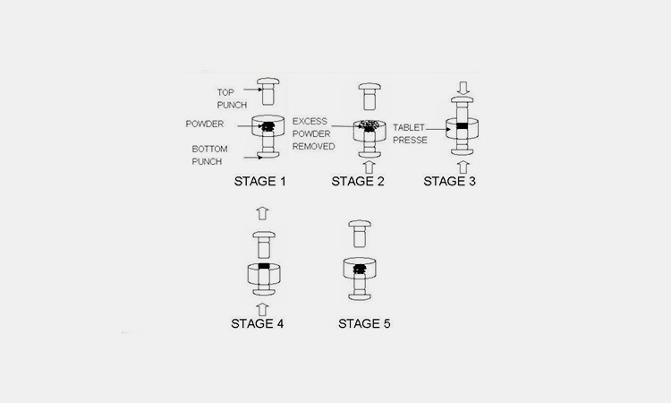 Working-Principle-Of--Single-Punch-Tablet-Compression-Machine