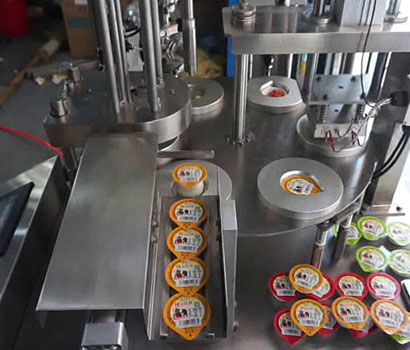 Blister Sealing Machine-2