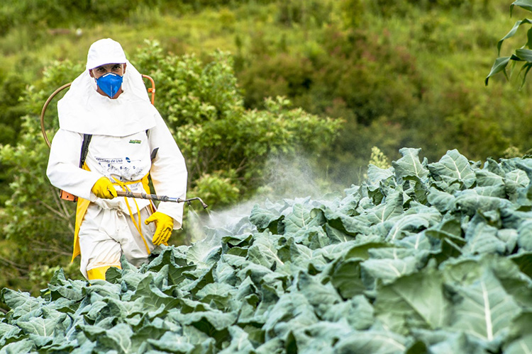 Pesticide Industry