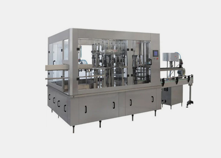 Rotary Paint Filling Machine