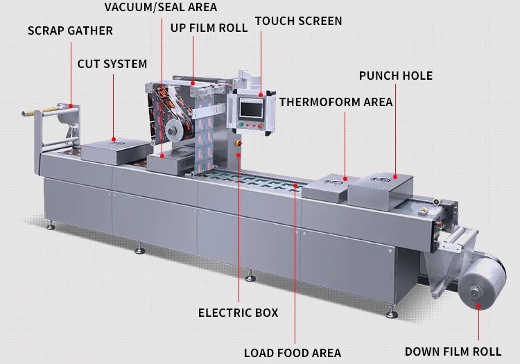 structure of thermoforming cheese packaging machine