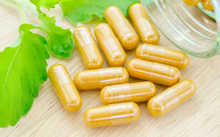 Nutraceutical Industry