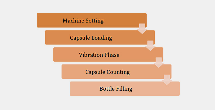 Capsule Counter Machine Work