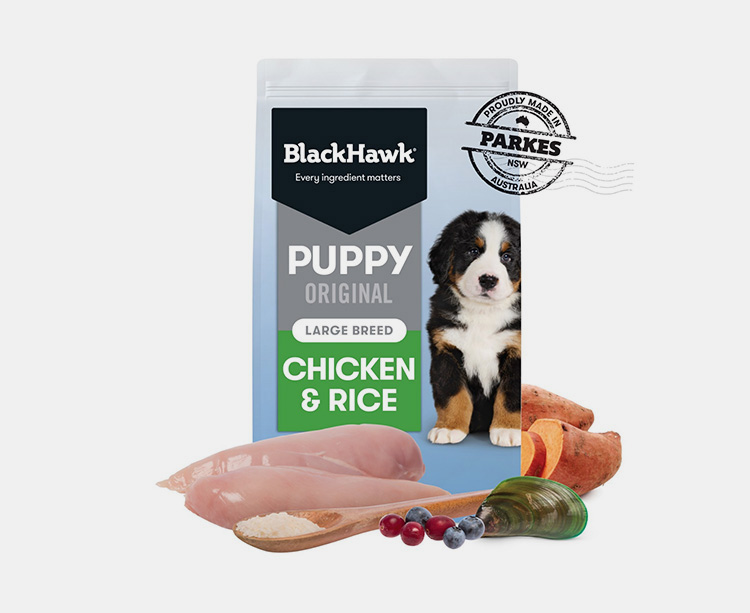Dry Dog Food Packaging