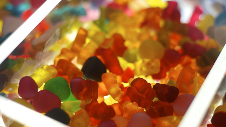 Gummy Bear Candies