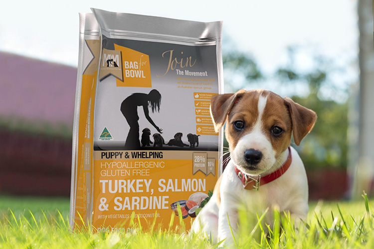Reuse Dog Food Packaging