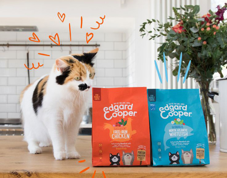 Cat Food Packaging-2
