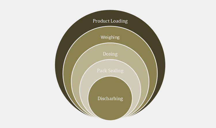 General Process Of Cat Food Packaging