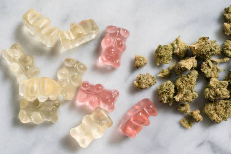 Hard Gummy Bears Called Stale