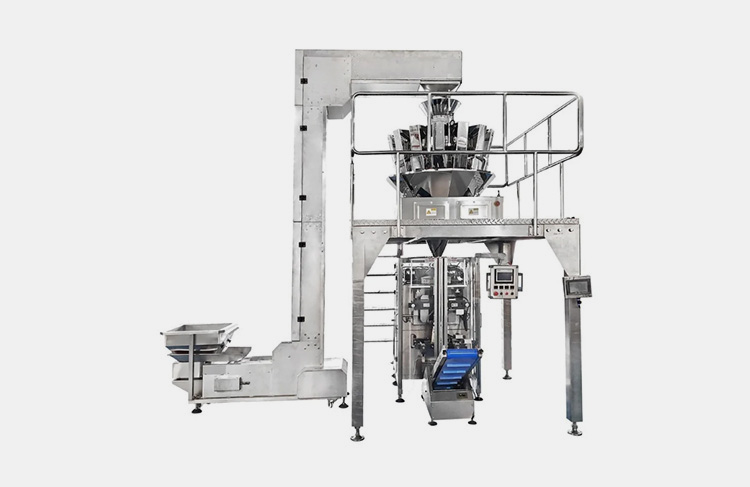 Multi- Head Pickle Packing Machine