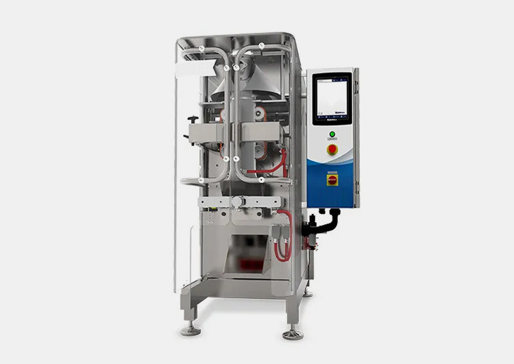 Nitrogen Flush Pickle Packing Machine