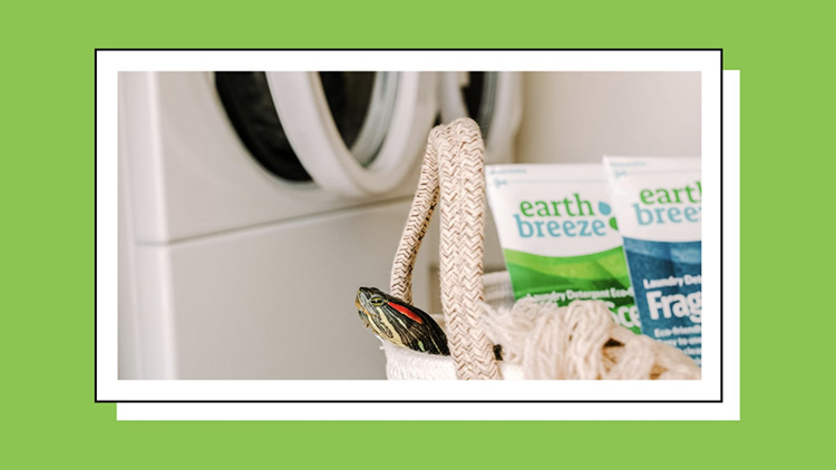 Types of Detergent
