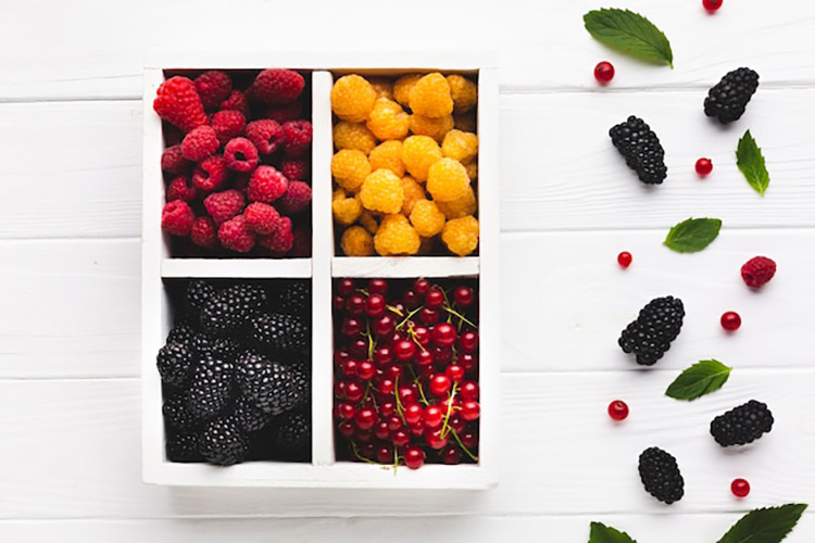 Vacuum Sealed Food Shelf Life Chart of Berries