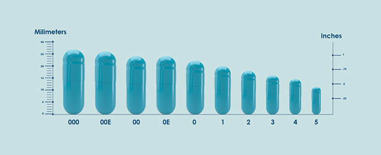 Capsules Sizes