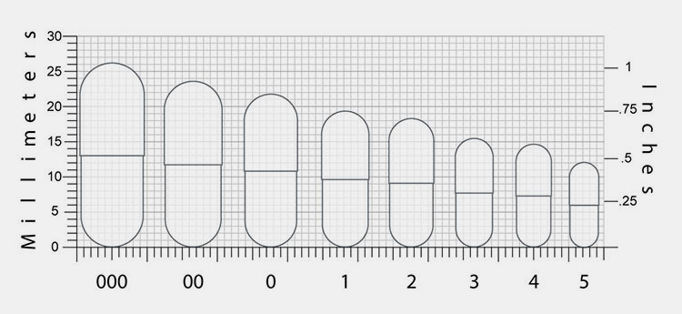 Sizes Of Capsule