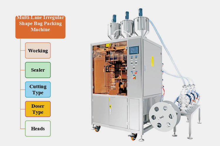 Multi-Lane Irregular Shape Bag Packing Machine types