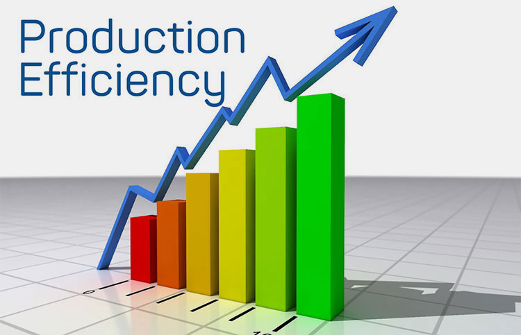 Production Efficiency