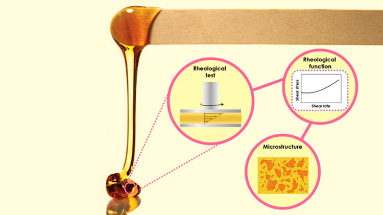 Viscosity Measurement