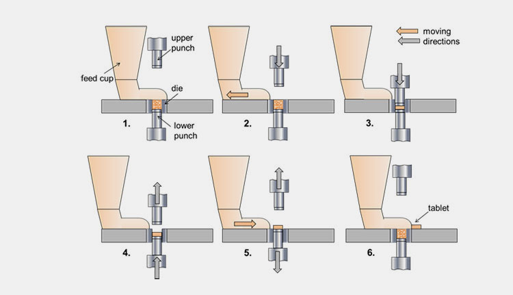 A Tablet Machine Press-2