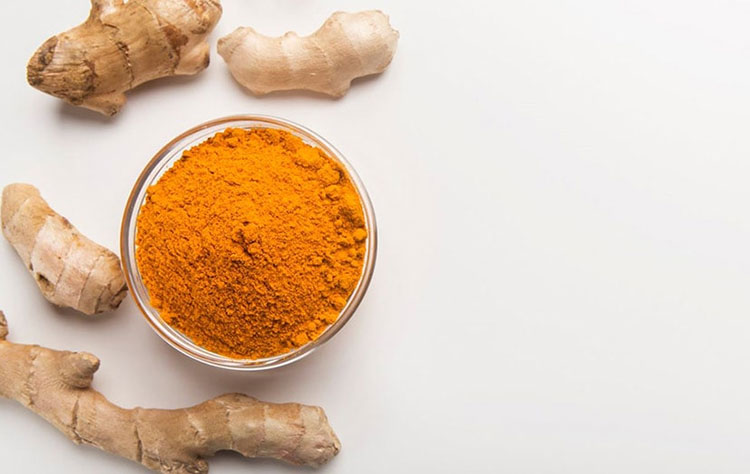 Nutraceutical Industry