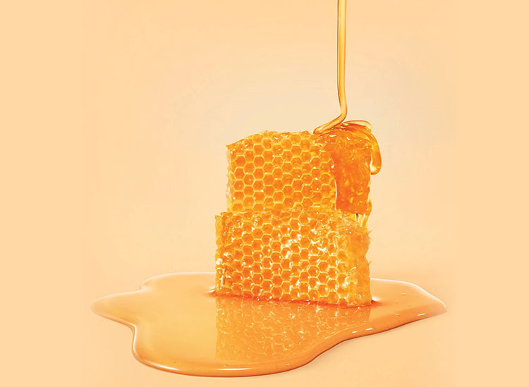 Honey Processing Industry