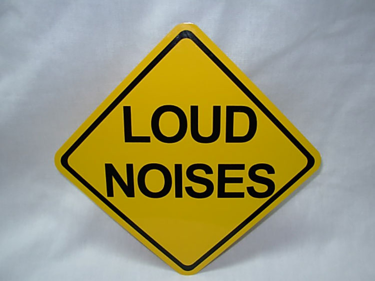 Noise Production