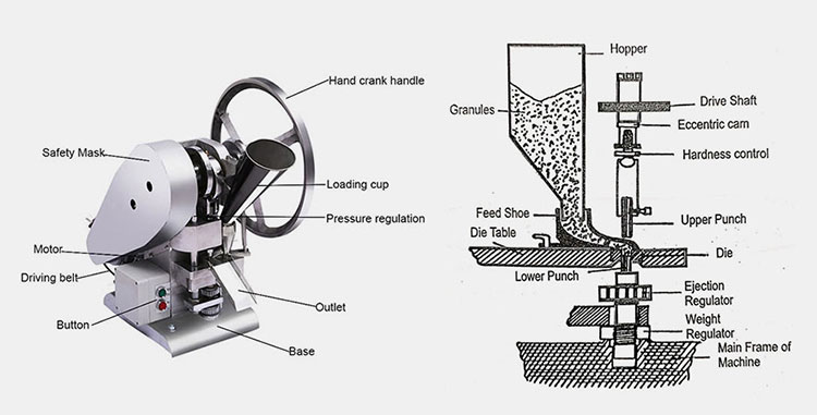 fundamental parts of a single-punch tablet machine