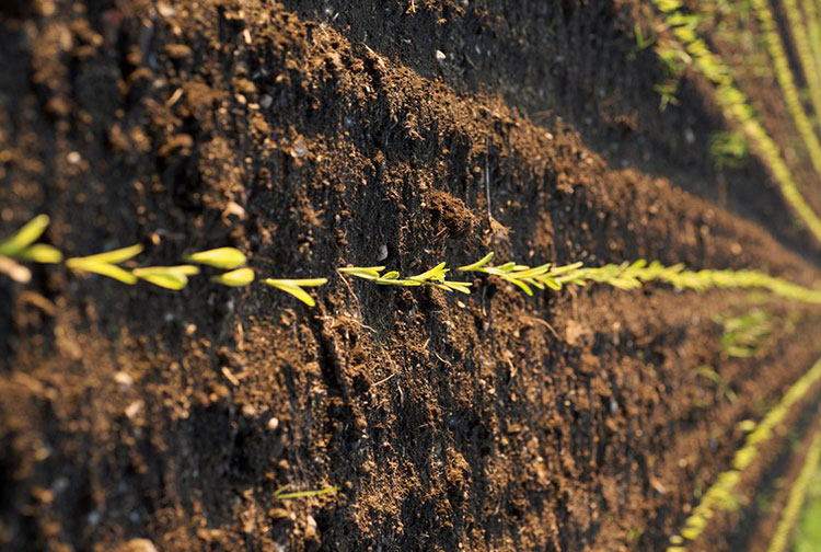 Agricultural Industry