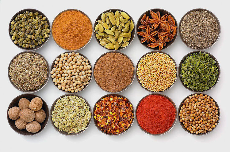 Condiment and Spices Industry