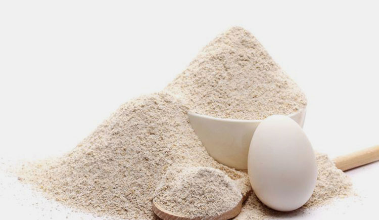 Egg White Protein