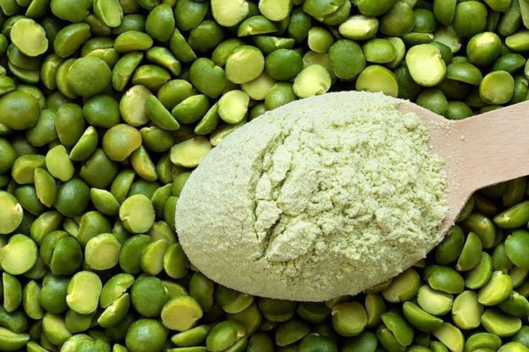 Pea Protein