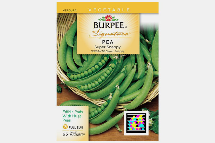 Vegetable Seeds