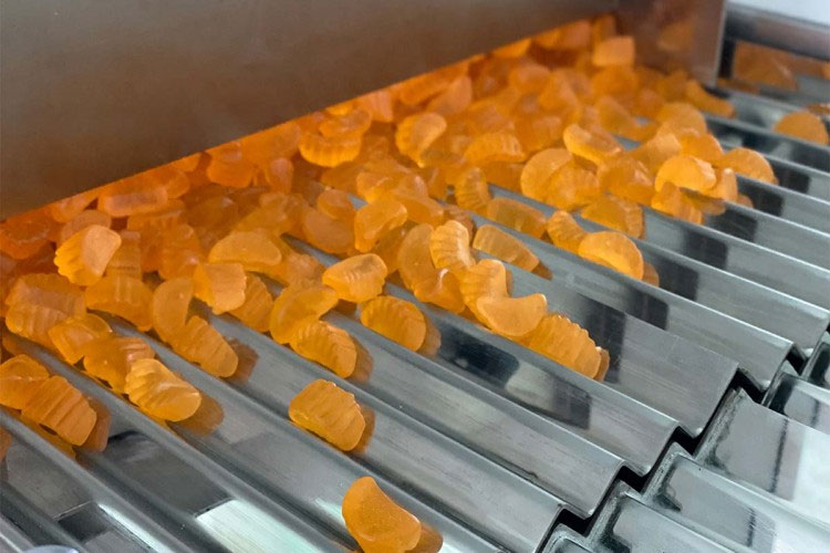 Counting-of-the-food-by-convenient-prefabricated-food-counting-machine-3