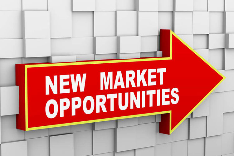 Market Opportunity