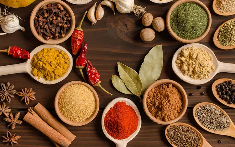 Condiment Industry